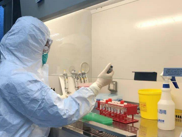 表面微生物、致病菌檢測